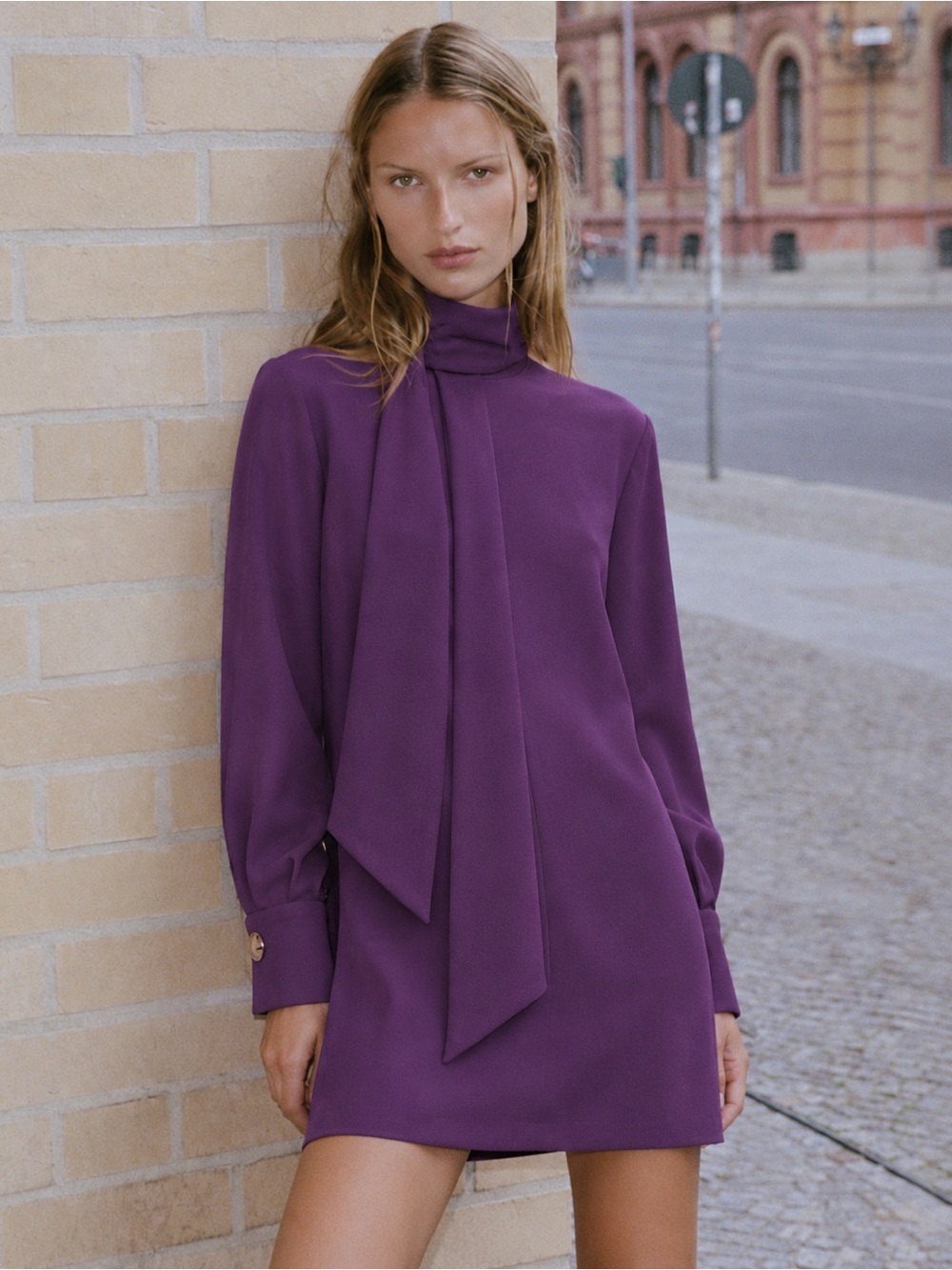 NWT Zara Purple Women's Mini Scarf Dress